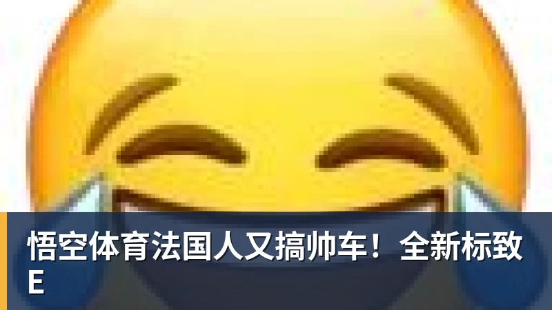 法国人又搞帅车！全新标致E